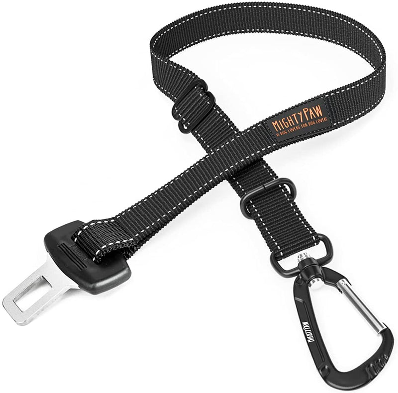 Accesorii Auto